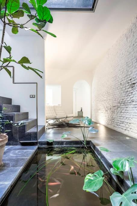 Exclusivo Apartamento De Diseno Centro Sevilla Matahacas Bajo エクステリア 写真