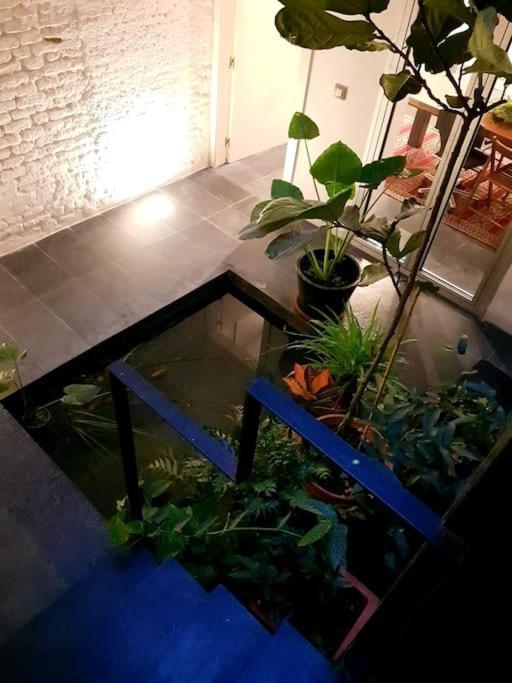 Exclusivo Apartamento De Diseno Centro Sevilla Matahacas Bajo エクステリア 写真